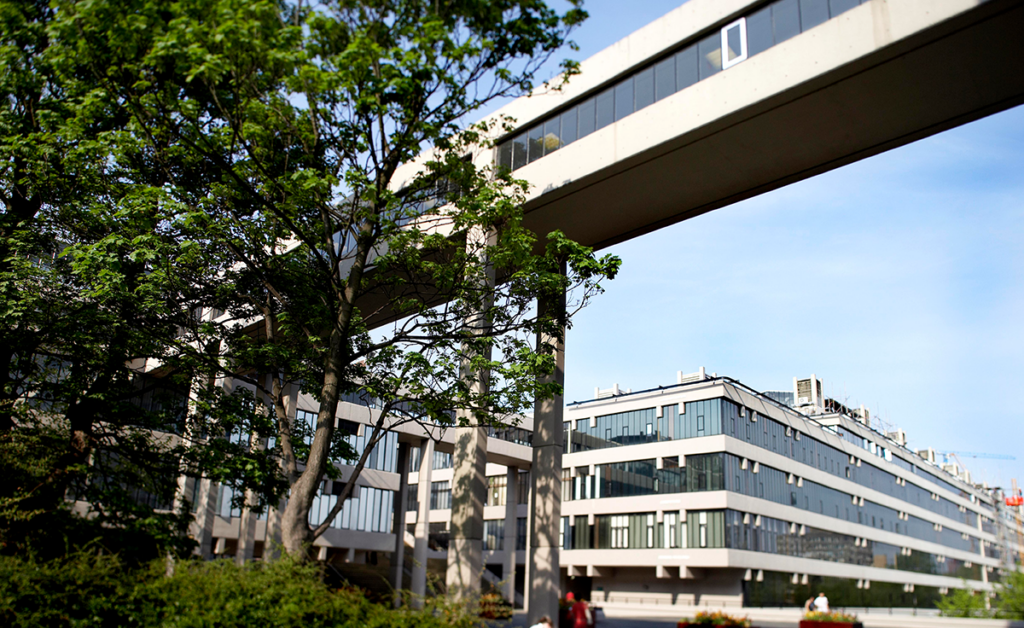 Red route path with campus buildings