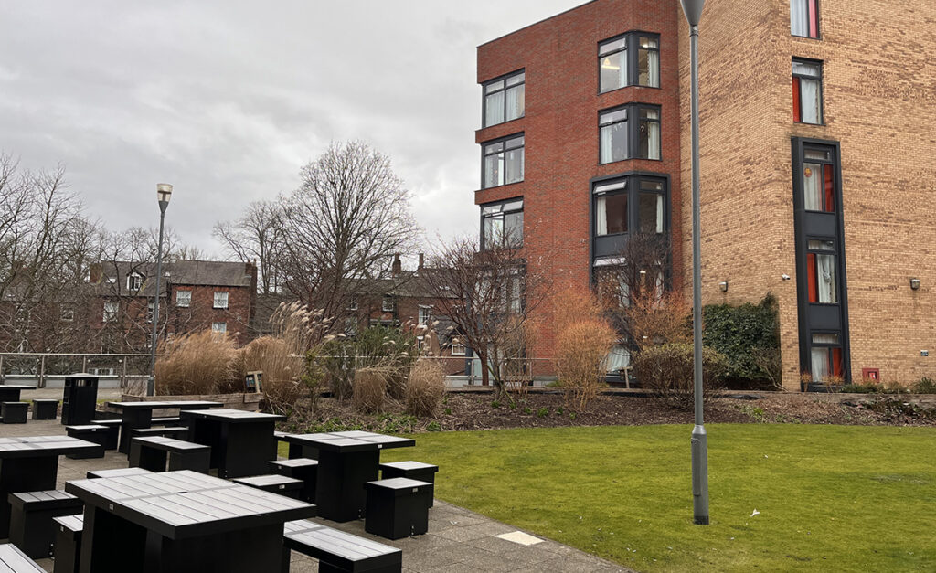 Sensory Garden