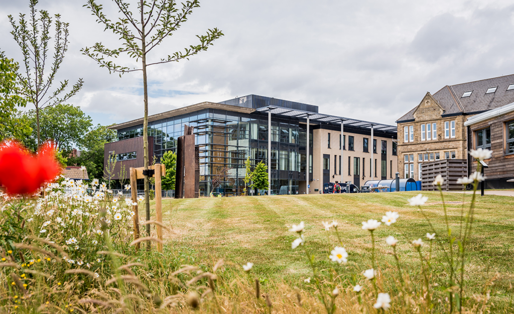 Field with flowers in the foreground with a university building in the background in focus
