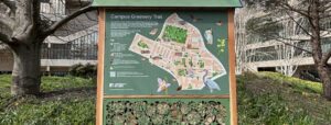 Photograph of Campus Greenery Trail map in Chancellor's Court, with illustrated map of University of Leeds campus highlighting places to enjoy nature