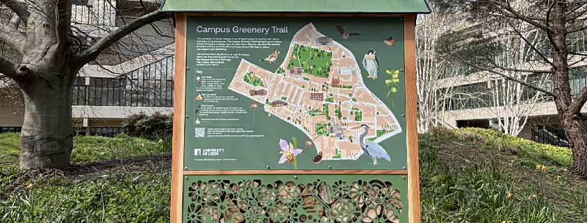 Photograph of Campus Greenery Trail map in Chancellor's Court, with illustrated map of University of Leeds campus highlighting places to enjoy nature