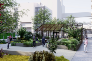 Artist's impression of Botanical Garden design, showing glasshouse, raised planting beds, accessible footpaths and seating.